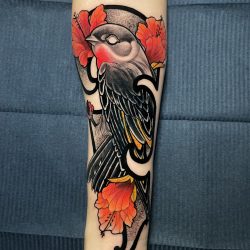 Neotraditional Falke Tattoo