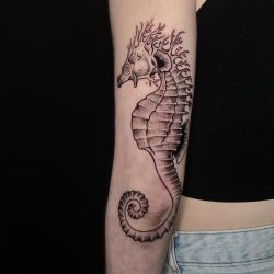 Sea Horse Tattoo In Black And White