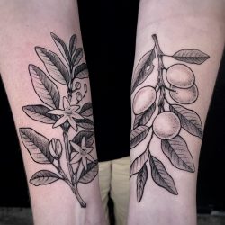 Tattoo Design Fruchtzweige Auf Dem Unterarm