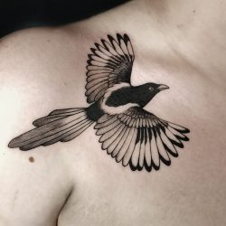 Bird Tattoo On Womans Chest