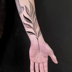 Plant Tattoo Growing From Hand On Forearm
