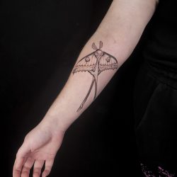Butterfly Tattoo On Forearm