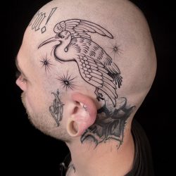 Bird Tattoo On Skull