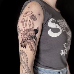 Bird And Mushroom Tattoo On Arm